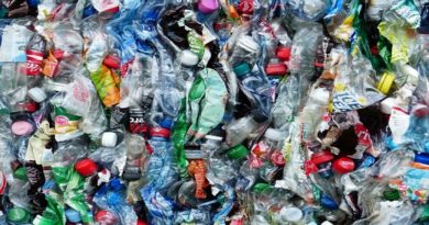 Bacterias devoradoras de plástico redefinen lucha contra la contaminación