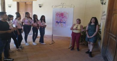 Obra "Mundo Abstracto Geométrico" se expone en Aragua