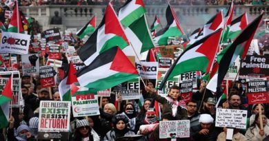 Gobierno Bolivariano exige cese al fuego contra el pueblo de Palestina
