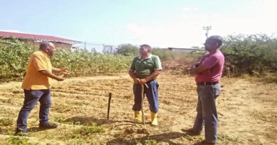 Promueven plan de abastecimiento agrourbano en Falcón