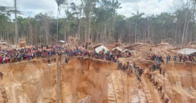 OFICIAL |15 fallecidos y 11 heridos tras derrumbe en mina ilegal de Bolívar