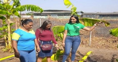 Programa "Mi Conuco Escolar" se continua desarrollando en Apure