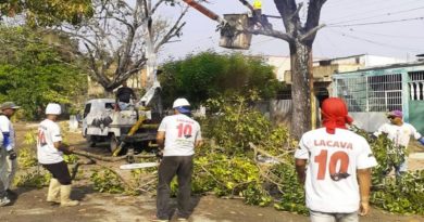 Despliegan jornadas de poda y limpieza al sur de Valencia