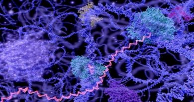 Investigadores estudian el mestizaje a partir de la genética