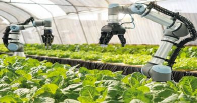 Sector agroindustrial brasileño encuentra nuevas técnicas para impulsar sostenibilidad