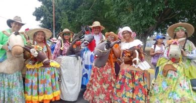 Octavo Encuentro Nacional de Burras y Burriquitas se realiza en Aragua
