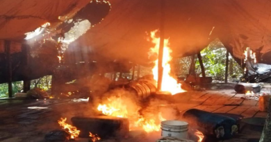 FANB destruye 4 campamentos asociados al narcotráfico en Zulia