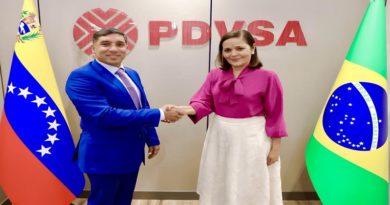 Gobierno nacional estrecha relaciones petroleras con Brasil