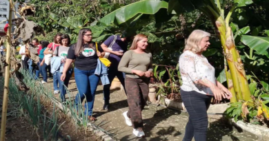 Brigadistas brasileños conocen experiencia de producción organopónico