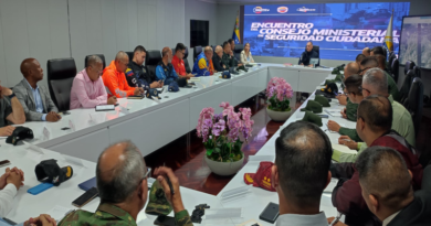 Establecen estrategias para consolidar la paz y seguridad en el país