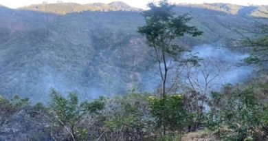 Incendios forestales consumen 360 hectáreas de áreas silvestres en Costa Rica