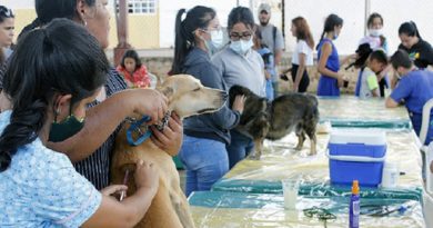 Realizan jornada de protección y cuidado de mascotas en Caracas