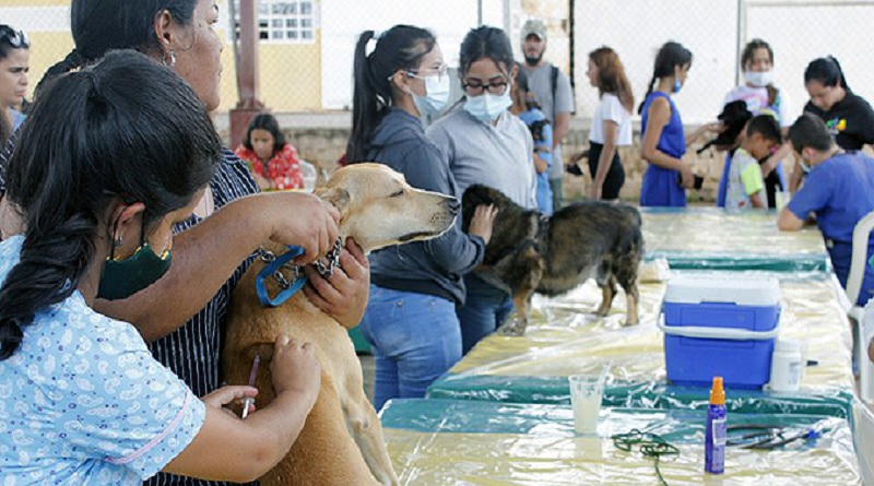 Realizan jornada de protección y cuidado de mascotas en Caracas