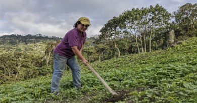 Entregan semillas para potenciar siembra de las mujeres productoras