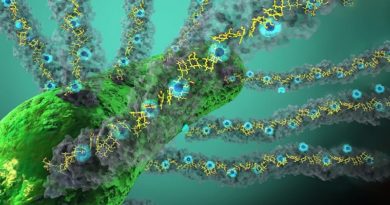 Científicos descubren una proteína capaz de generar una red eléctrica bajo tierra