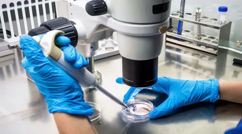 Científicos hallan bacteria amazónica con propiedades anticancerígenas