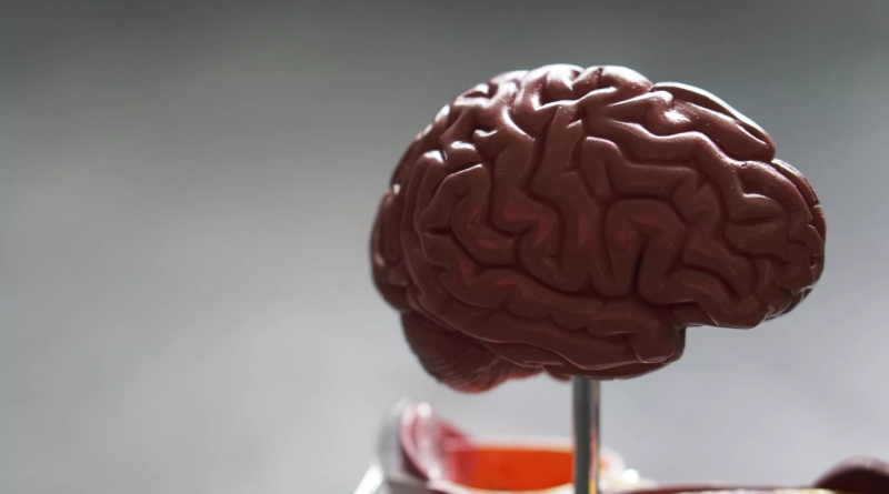 Científicos identifican la nueva principal causa de enfermedades por todo el mundo