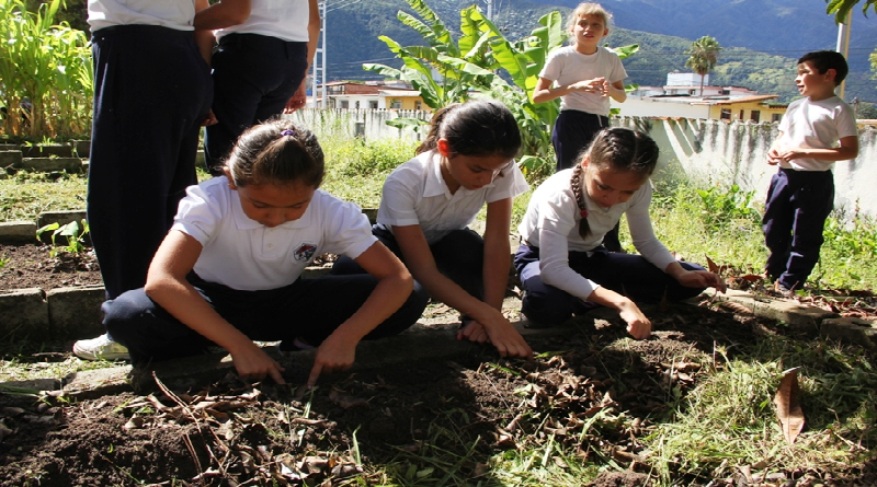 Prorizan centros educativos con Programa “Mi Conuco Escolar Carlos Lanz”