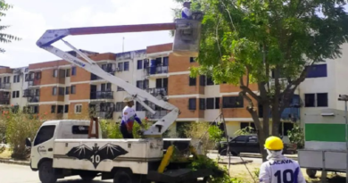 Embellece con Iniciativas Ambientales Lideradas por el Gobierno