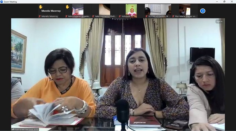 Diputadas de la AN lideraron videoconferencia sobre Ley para la Igualdad de mujeres