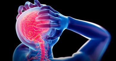 Revelan cómo el estrés se convierte en miedo en el cerebro