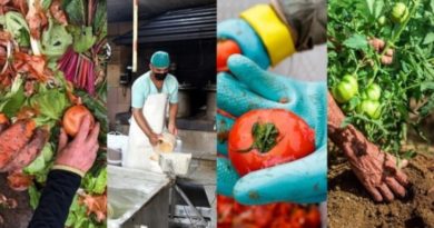 FAO elogia directrices de Cuba contra desperdicio de alimentos
