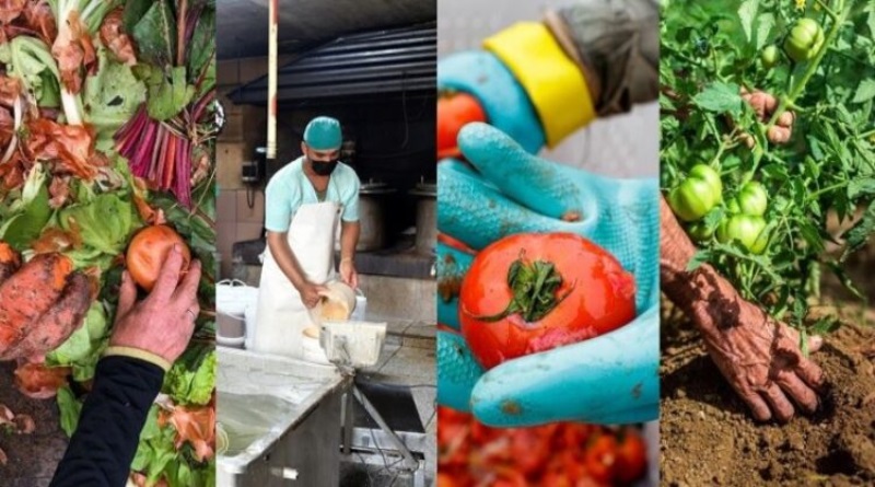 FAO elogia directrices de Cuba contra desperdicio de alimentos