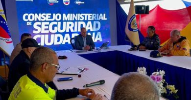 Comandante Estratégico Operacional de la Fuerza Armada Nacional Bolivariana, el Almirante en Jefe Remigio Ceballos