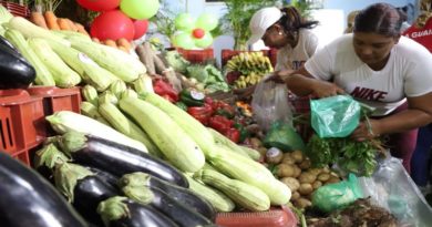 Crean en La Guaira Circuito Económico Agrícola Carayaca - El Junko