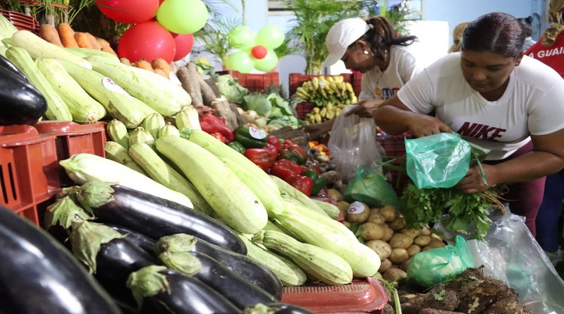 Crean en La Guaira Circuito Económico Agrícola Carayaca - El Junko