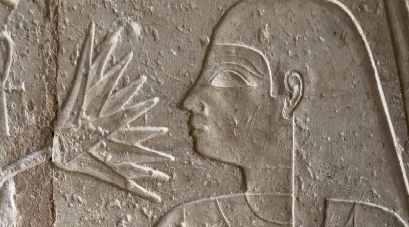 Científicos buscan reconstruir los olores ancestrales