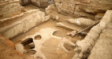 Este es el pan más antiguo del mundo que tiene más de 8 mil años