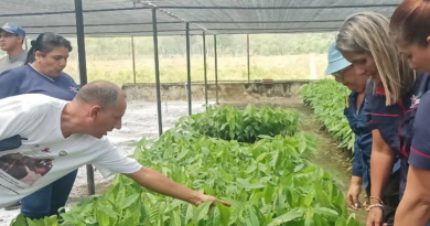 Avanza investigación e innovación tecnológica para desarrollo agrícola del país