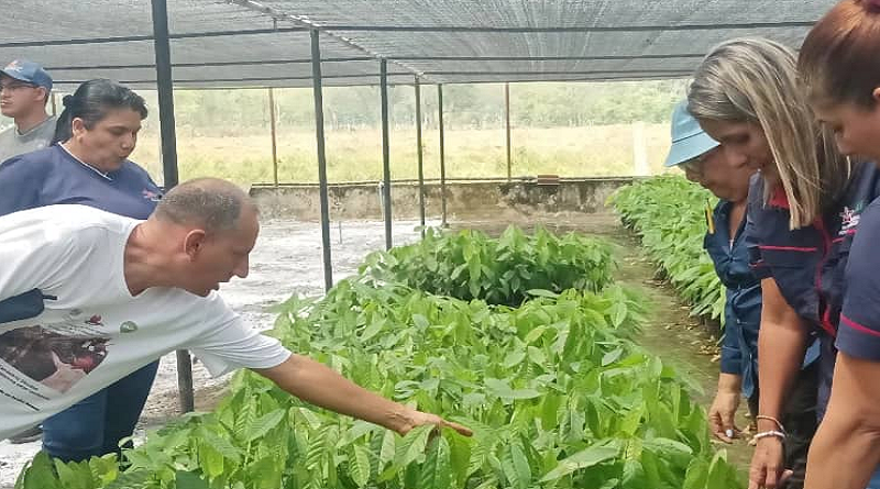 Avanza investigación e innovación tecnológica para desarrollo agrícola del país