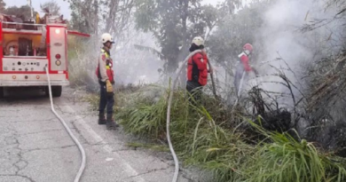 Comando Contra Incendios Forestales controlan fuego en las montañas de Mérida