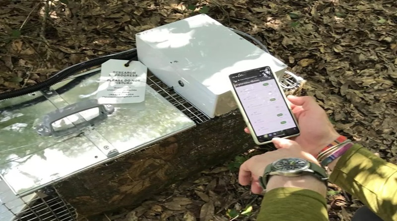 Crean en Florida “Trampas inteligentes” para capturar especies invasoras