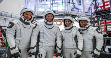 Tripulantes de la misión Crew-7 de la NASA regresan con éxito del espacio