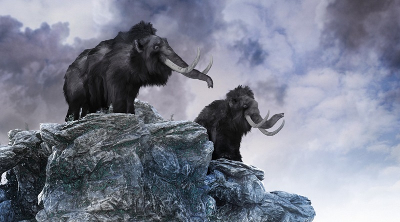 Científicos anuncian estar cerca de “resucitar” a un mamut
