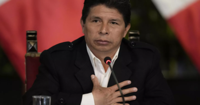 Pedro Castillo, expresidente de Perú (Sputnik Mundo / AP Photo / Martin Mejía)