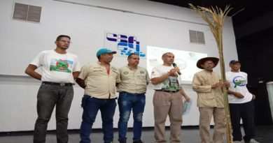 Patrimonios mirandinos acompañarán la bajada de la Palma Bendita en Chacao