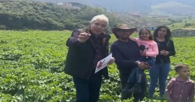 Municipio Pueblo Llano produce 79 mil toneladas anuales de papa para Venezuela