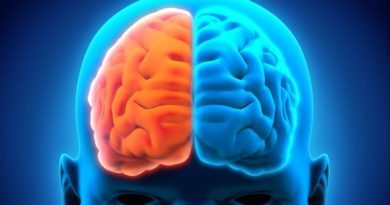 Financian con 10 millones de euros proyecto para duplicar el cerebro humano