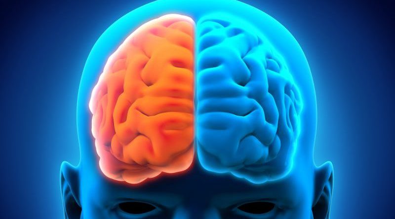 Financian con 10 millones de euros proyecto para duplicar el cerebro humano