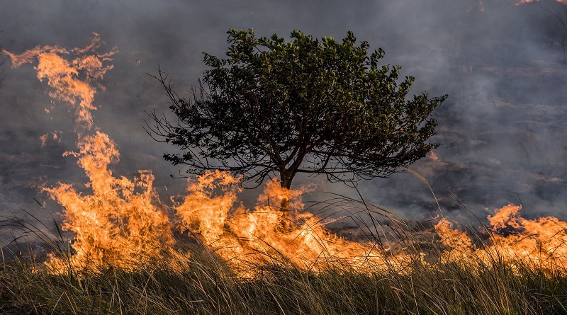 Guatemala reporta más de 30 incendios forestales en la actualidad