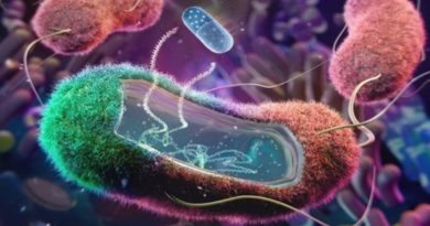 Desarrollan nueva clase de antibióticos contra bacterias multirresistentes