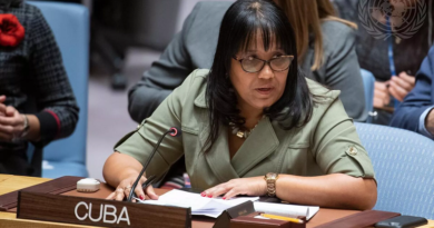 Cuba condena en el Consejo de Seguridad la impunidad de Israel contra el pueblo palestino