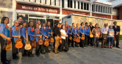 Efectúan encuentro de artesanos y fabricantes de cuatro en el MUVA