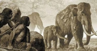 Homínidos se alimentaron de elefante hace 1,2 millones de años