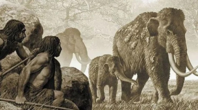 Homínidos se alimentaron de elefante hace 1,2 millones de años