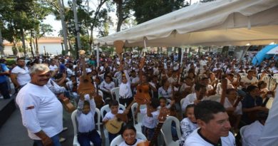 Día Nacional del Cuatro